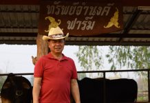 The Beef : Ep.3 จำนงค์ มาคำ บนเส้นทางการค้าโคเนื้อระหว่างประเทศ