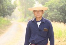 ยอดชัย มะโนใจ กับลิ้นจี่ปลอดสารพิษของประเทศไทย