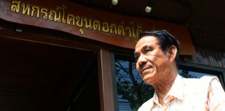 Premium Beef : เล่าเรื่องโคเนื้อ “ดอกคำใต้” ประเทศไทย