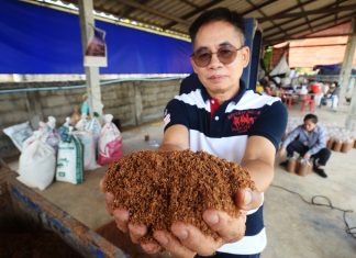 Management : รัตน์มนูญ บุญธรรม บริหารธุรกิจครอบครัวเห็ด