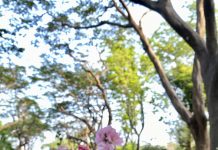 “เรียนรู้สู่ความผาสุก”