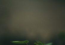 ขอบคุณความรักบนโลกใบนี้