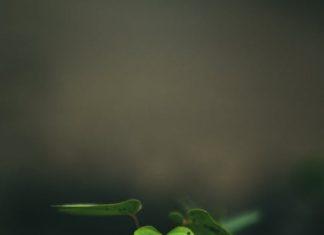 ขอบคุณความรักบนโลกใบนี้