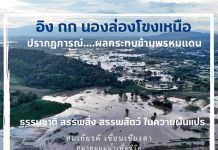 สมเกียรติ เขื่อนเชียงสา : อิง กก นอง..ล่องโขงเหนือ