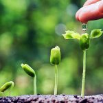 Editorial : การเติบโตขึ้นของ Musicup4