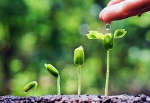 Editorial : การเติบโตขึ้นของ Musicup4