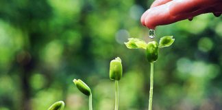 Editorial : การเติบโตขึ้นของ Musicup4