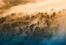 ธรรมชาติจัดให้ : ธนัชโชติ หลวงติ๊บ