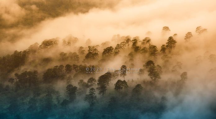 ธรรมชาติจัดให้ : ธนัชโชติ หลวงติ๊บ