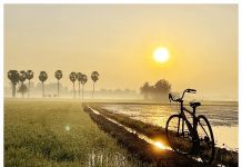 ฉันรักตะวัน : ศักดิ์สิริ มีสมสืบ บทกวี