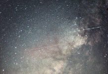 เราเป็นเมล็ดพันธุ์จักรวาล : คำ พอวา