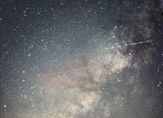 เราเป็นเมล็ดพันธุ์จักรวาล : คำ พอวา