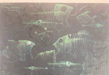 สมเกียรติ เขื่อนเชียงสา : โศกนาฏกรรม..ในลำน้ำกก